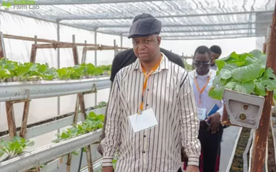 A visit to Soilless Farm by Bellstech Team